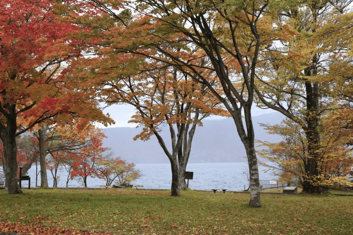 紅葉した木々に囲まれた十和田湖の湖畔